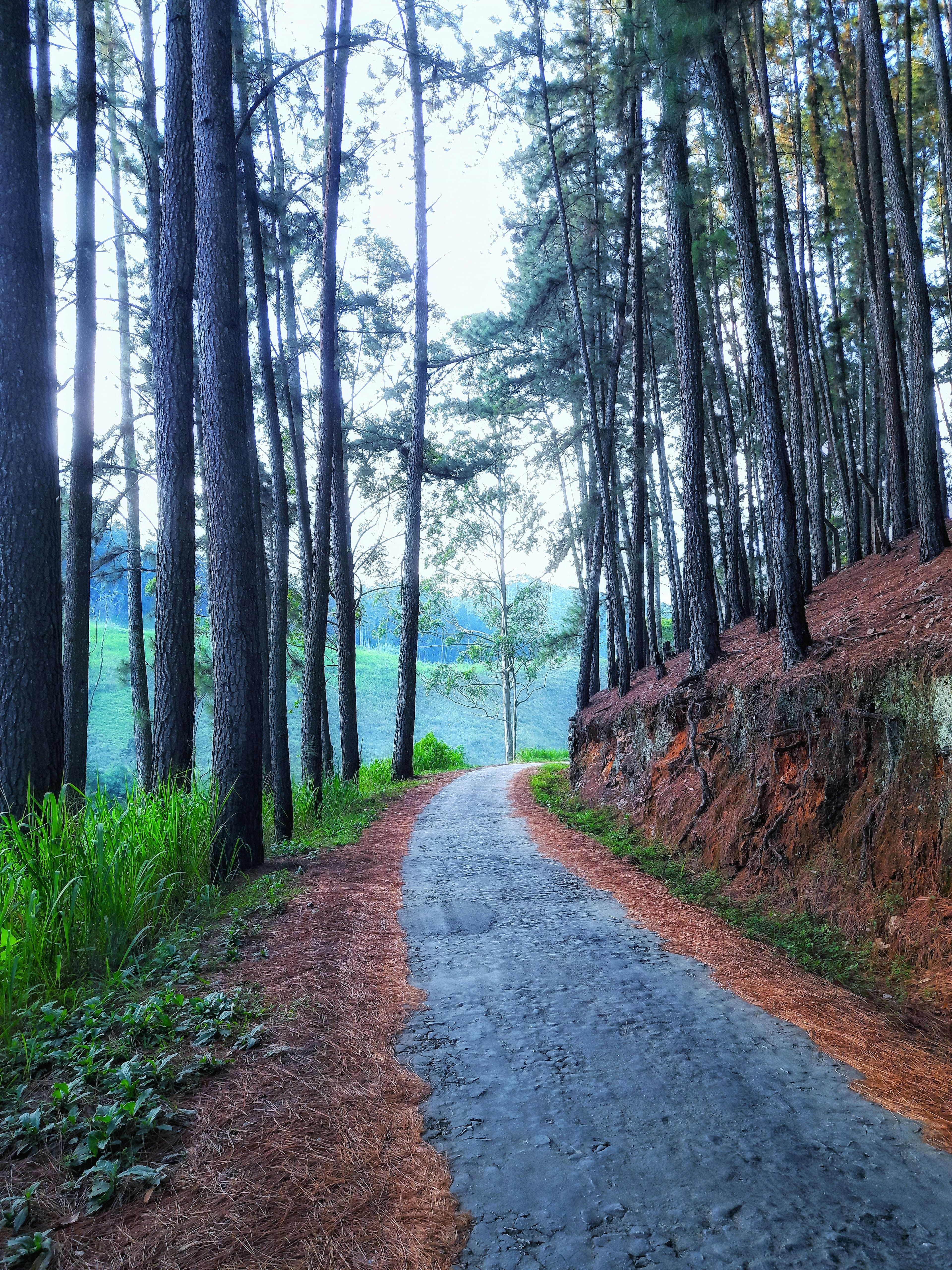 Sri Lanka landscape